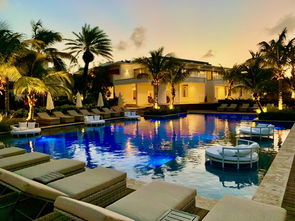 Resort pool with uplit palms at dusk