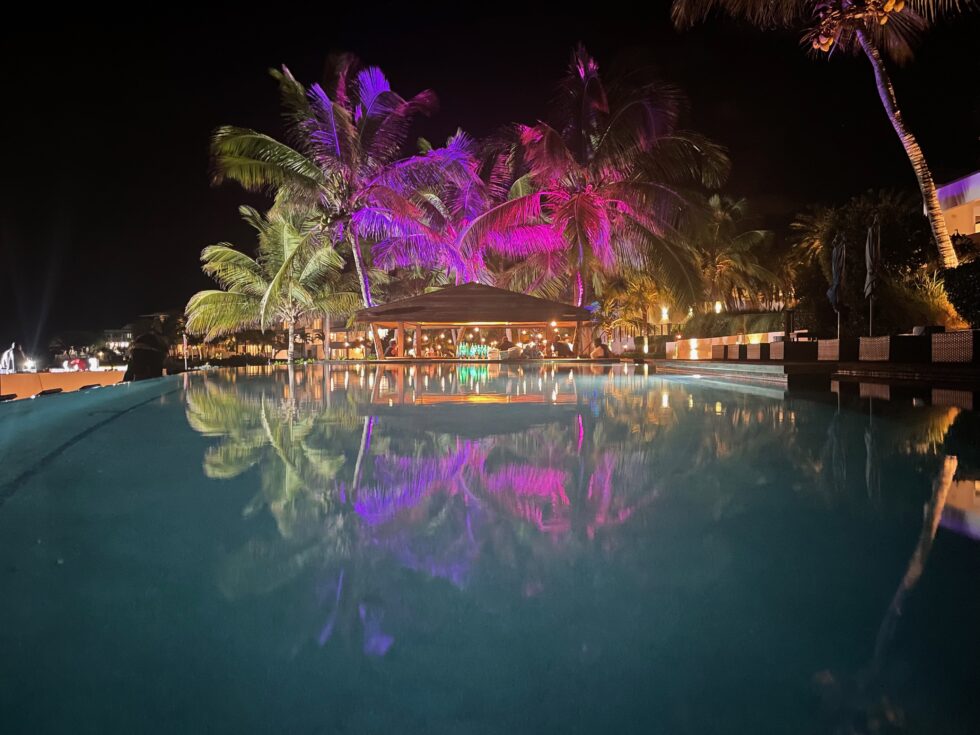 Pool reflections of palms lit with accent color